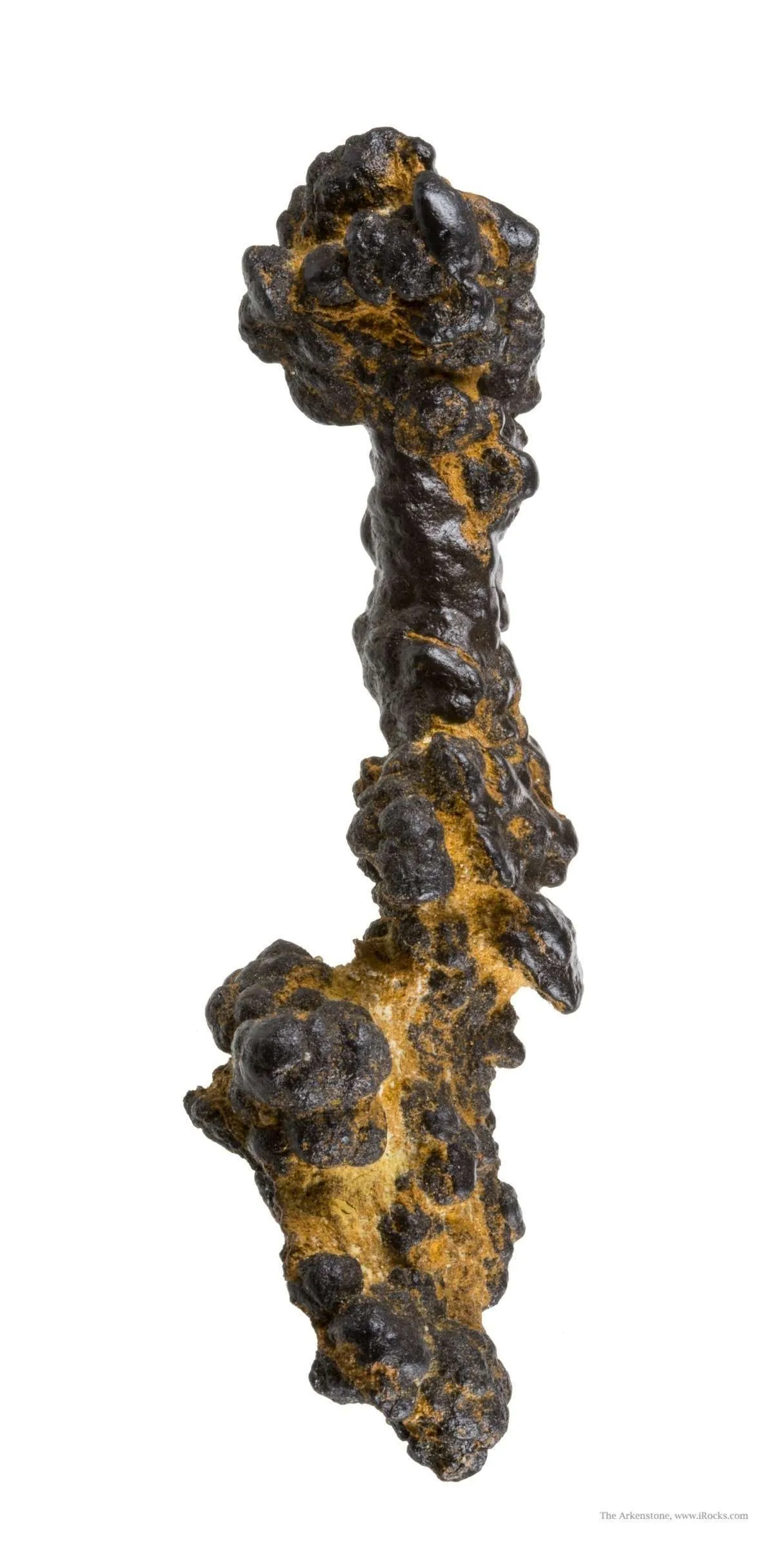 Manganese Biominerals (Todorokite, Romanechite, Birnessite) - image 2