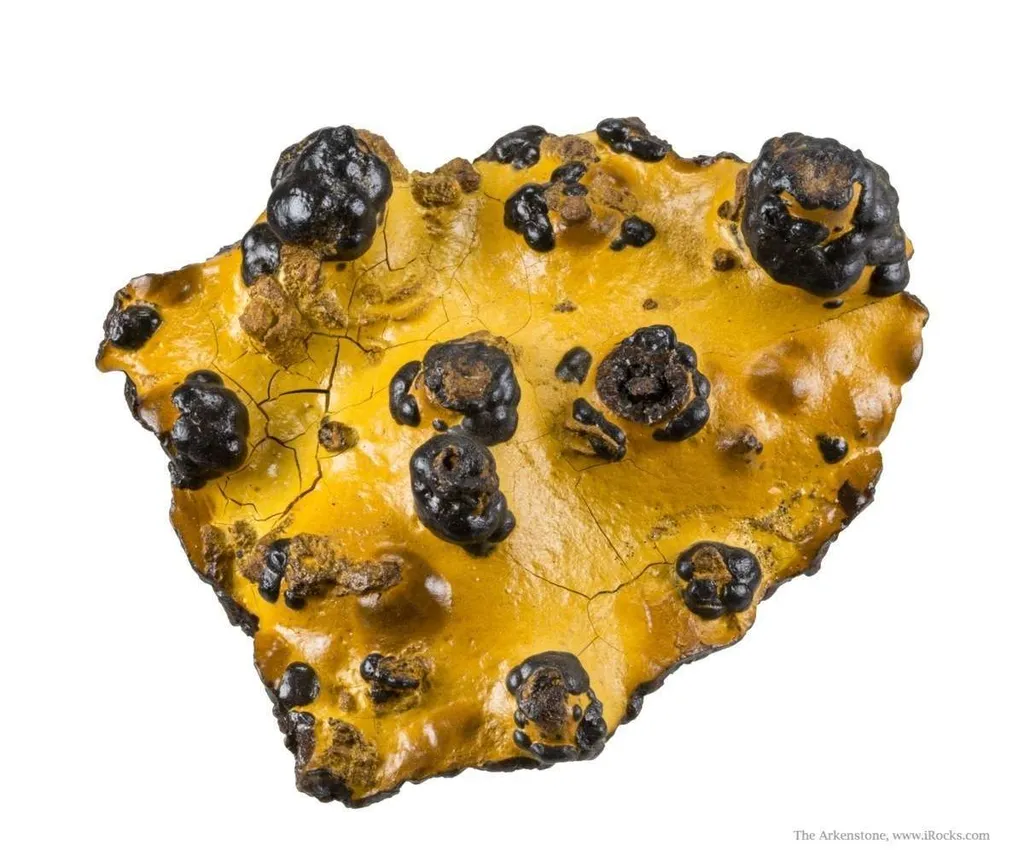 Manganese Biominerals (Todorokite, Romanechite, Birnessite) image