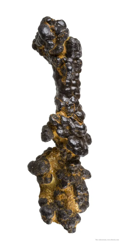 Manganese Biominerals (Todorokite, Romanechite, Birnessite) image