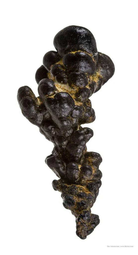 Manganese Biominerals (Todorokite, Romanechite, Birnessite) - image 2