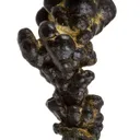 Manganese Biominerals (Todorokite, Romanechite, Birnessite) - image 2