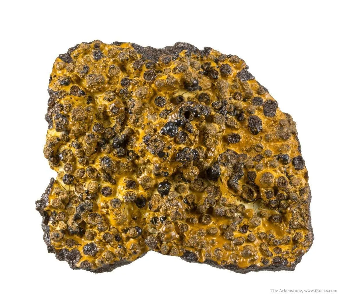 Manganese Biominerals (Todorokite, Romanechite, Birnessite) - image 1