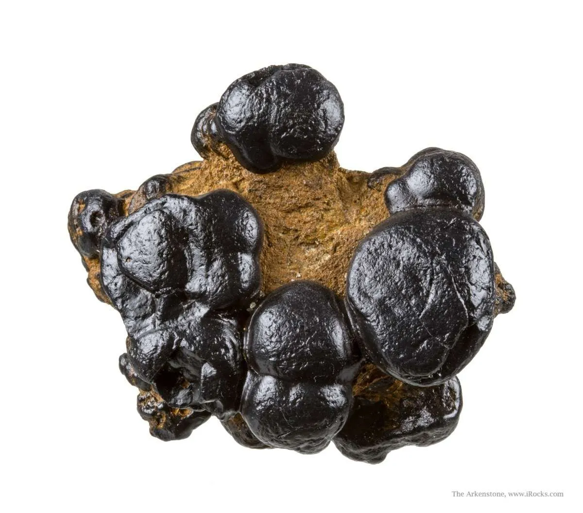 Manganese Biominerals (Todorokite, Romanechite, Birnessite) - image 1