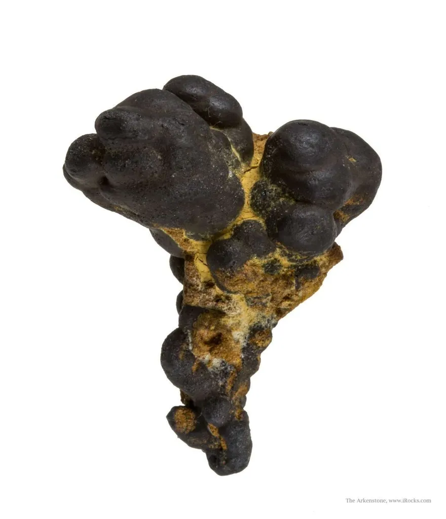 Manganese Biominerals (Todorokite, Romanechite, Birnessite) - image 2