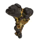 Manganese Biominerals (Todorokite, Romanechite, Birnessite) - image 2