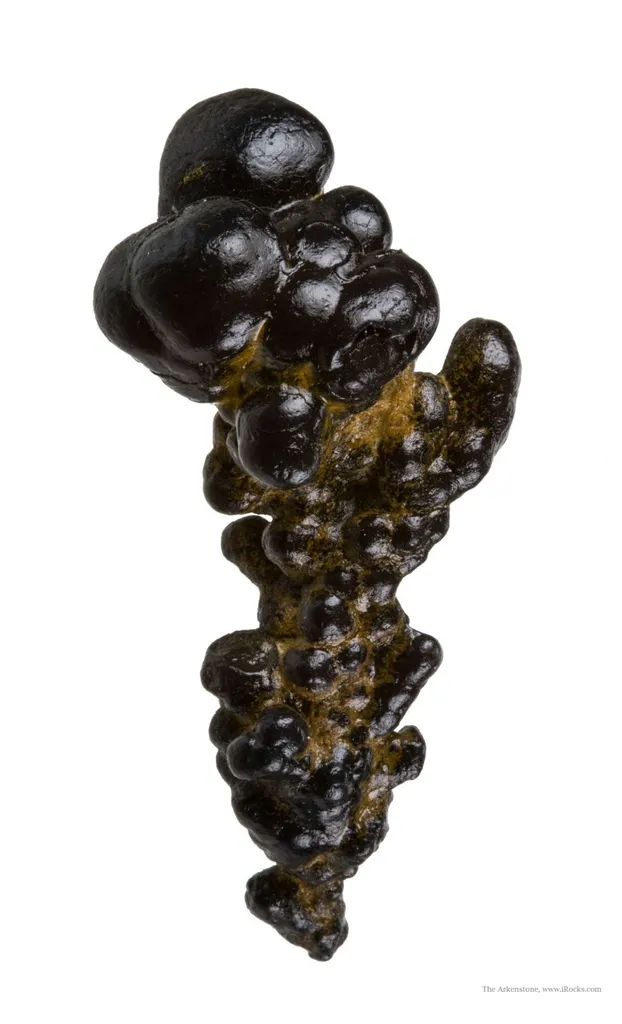 Manganese Biominerals (Todorokite, Romanechite, Birnessite) image