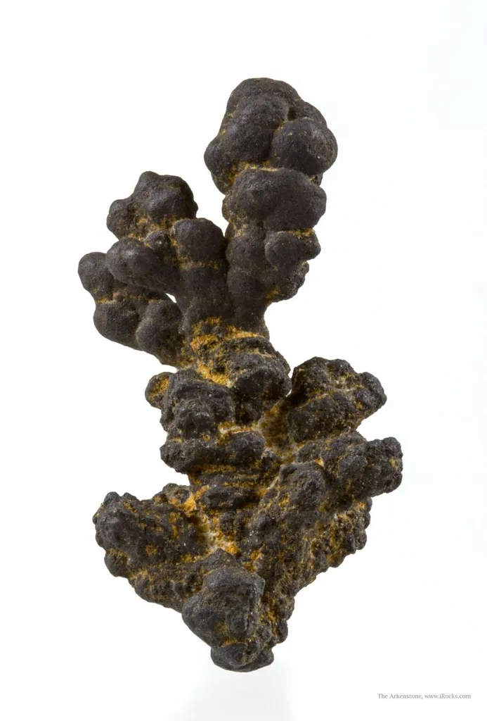 Manganese Biominerals (Todorokite, Romanechite, Birnessite) image
