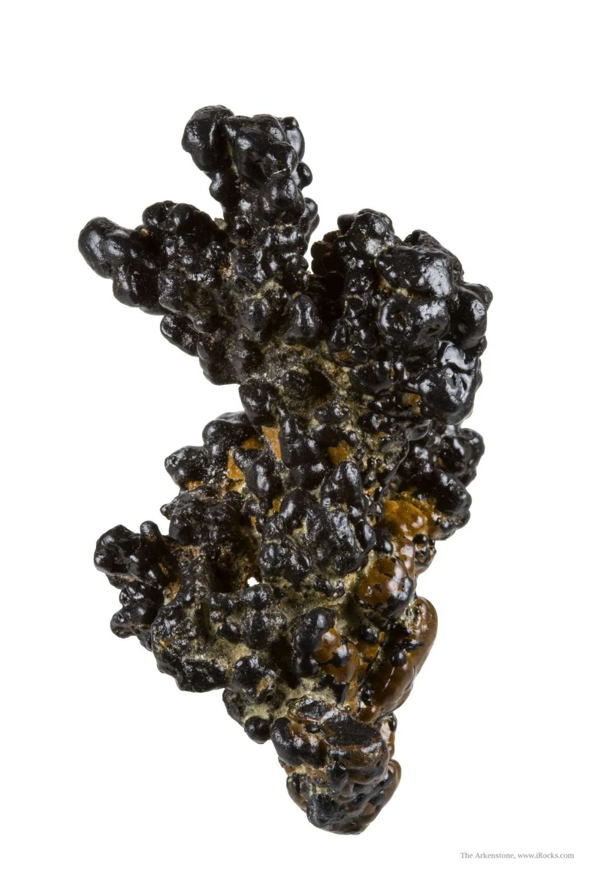 Manganese Biominerals (Todorokite, Romanechite, Birnessite) - image 2