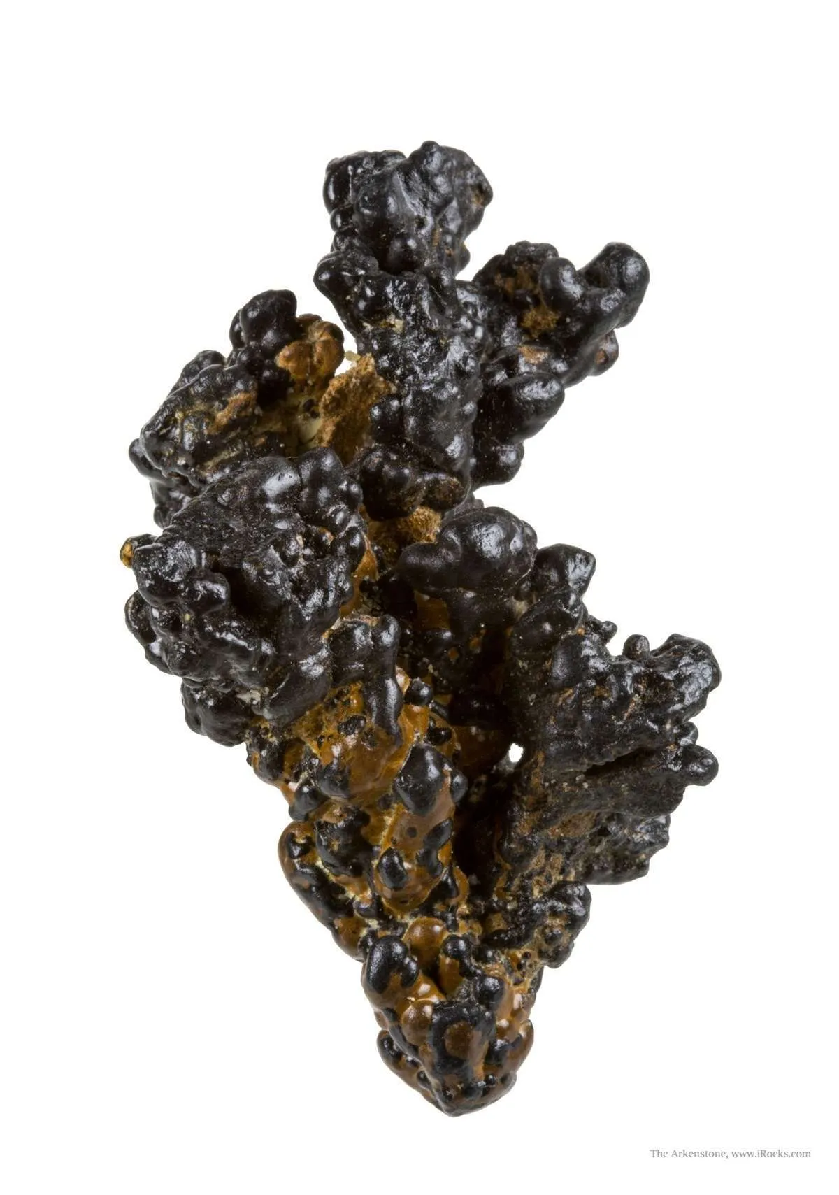 Manganese Biominerals (Todorokite, Romanechite, Birnessite) - image 1