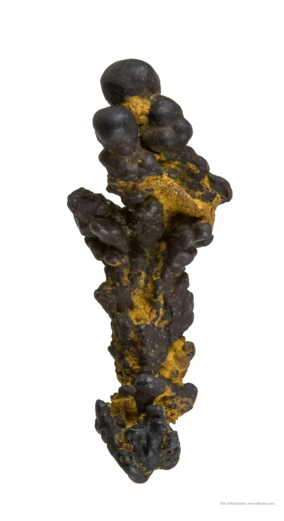 Manganese Biominerals (Todorokite, Romanechite, Birnessite) image
