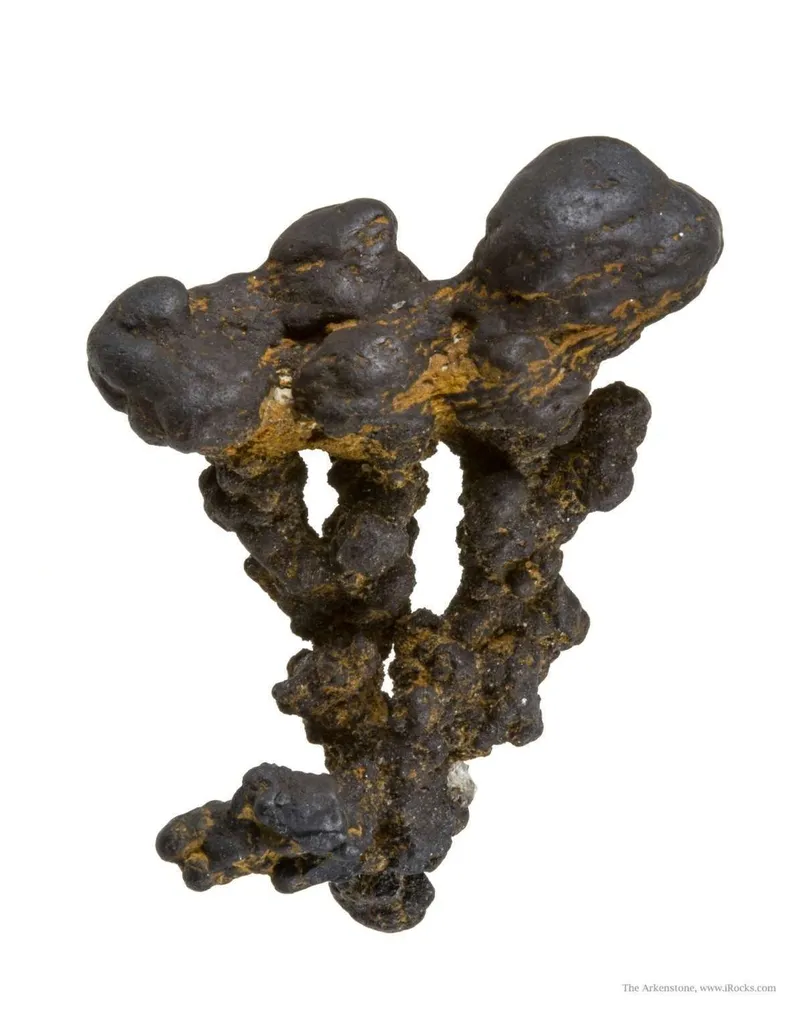 Manganese Biominerals (Todorokite, Romanechite, Birnessite) image