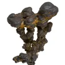 Manganese Biominerals (Todorokite, Romanechite, Birnessite) - image 1