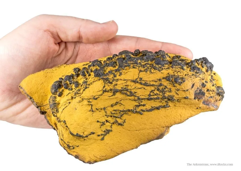 Manganese Biominerals (Todorokite, Romanechite, Birnessite) - image 3