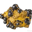 Manganese Biominerals (Todorokite, Romanechite, Birnessite) - image 2