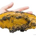 Manganese Biominerals (Todorokite, Romanechite, Birnessite) - image 3