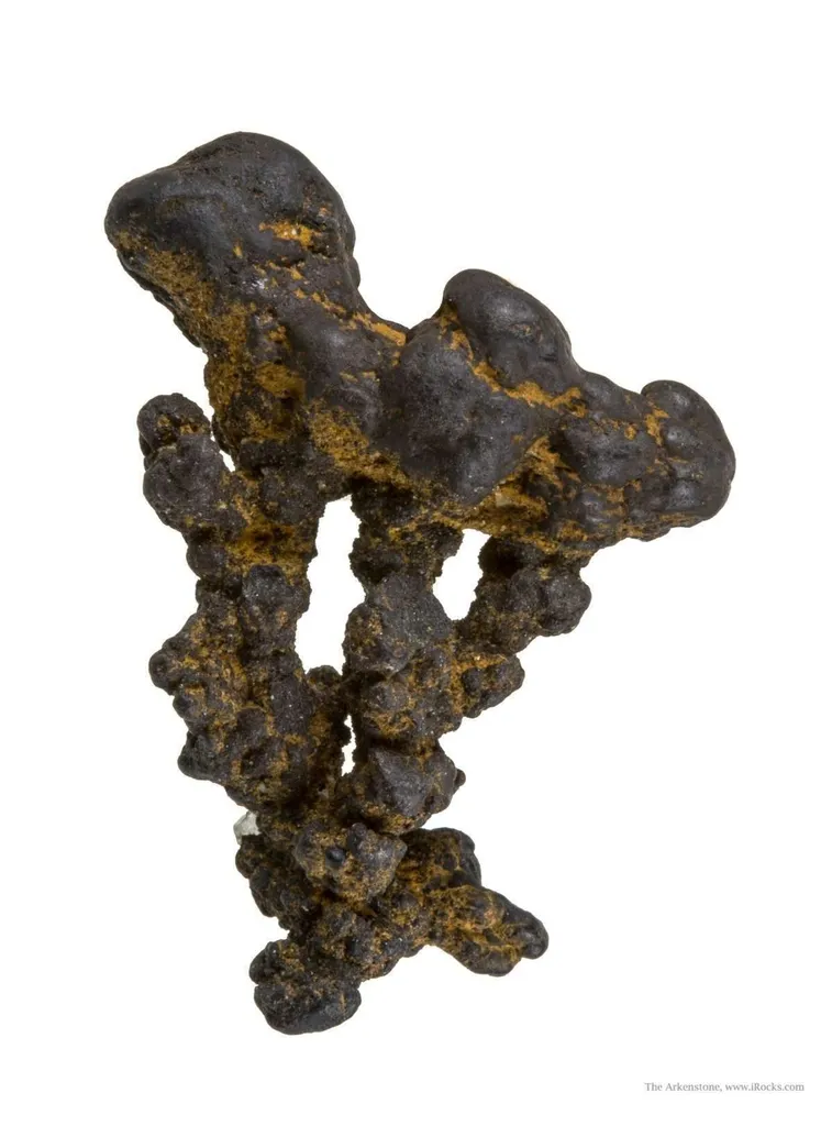 Manganese Biominerals (Todorokite, Romanechite, Birnessite) - image 2