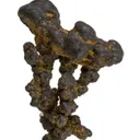 Manganese Biominerals (Todorokite, Romanechite, Birnessite) - image 2