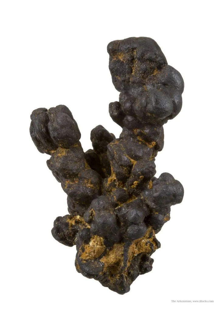 Manganese Biominerals (Todorokite, Romanechite, Birnessite) image