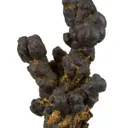 Manganese Biominerals (Todorokite, Romanechite, Birnessite) - image 1