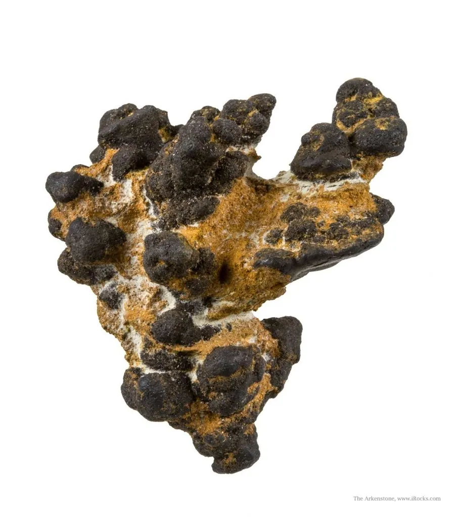 Manganese Biominerals (Todorokite, Romanechite, Birnessite) image
