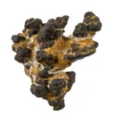 Manganese Biominerals (Todorokite, Romanechite, Birnessite) - image 1