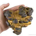 Manganese Biominerals (Todorokite, Romanechite, Birnessite) - image 3