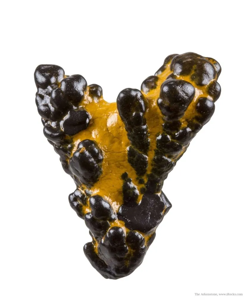 Manganese Biominerals (Todorokite, Romanechite, Birnessite) - image 2