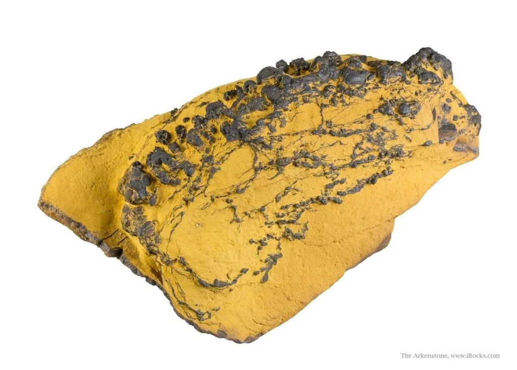 Manganese Biominerals (Todorokite, Romanechite, Birnessite) - image 2