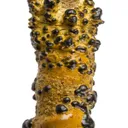 Manganese Biominerals (Todorokite, Romanechite, Birnessite) Ps. After Arthropod Burrows - image 2