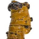 Manganese Biominerals (Todorokite, Romanechite, Birnessite) Ps. After Arthropod Burrows - image 1