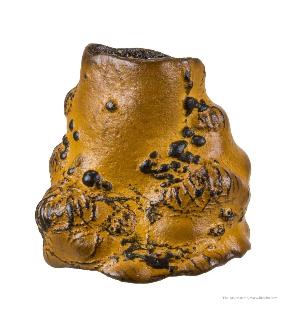 Manganese Biominerals (Todorokite, Romanechite, Birnessite) Ps. After Arthropod Burrows image