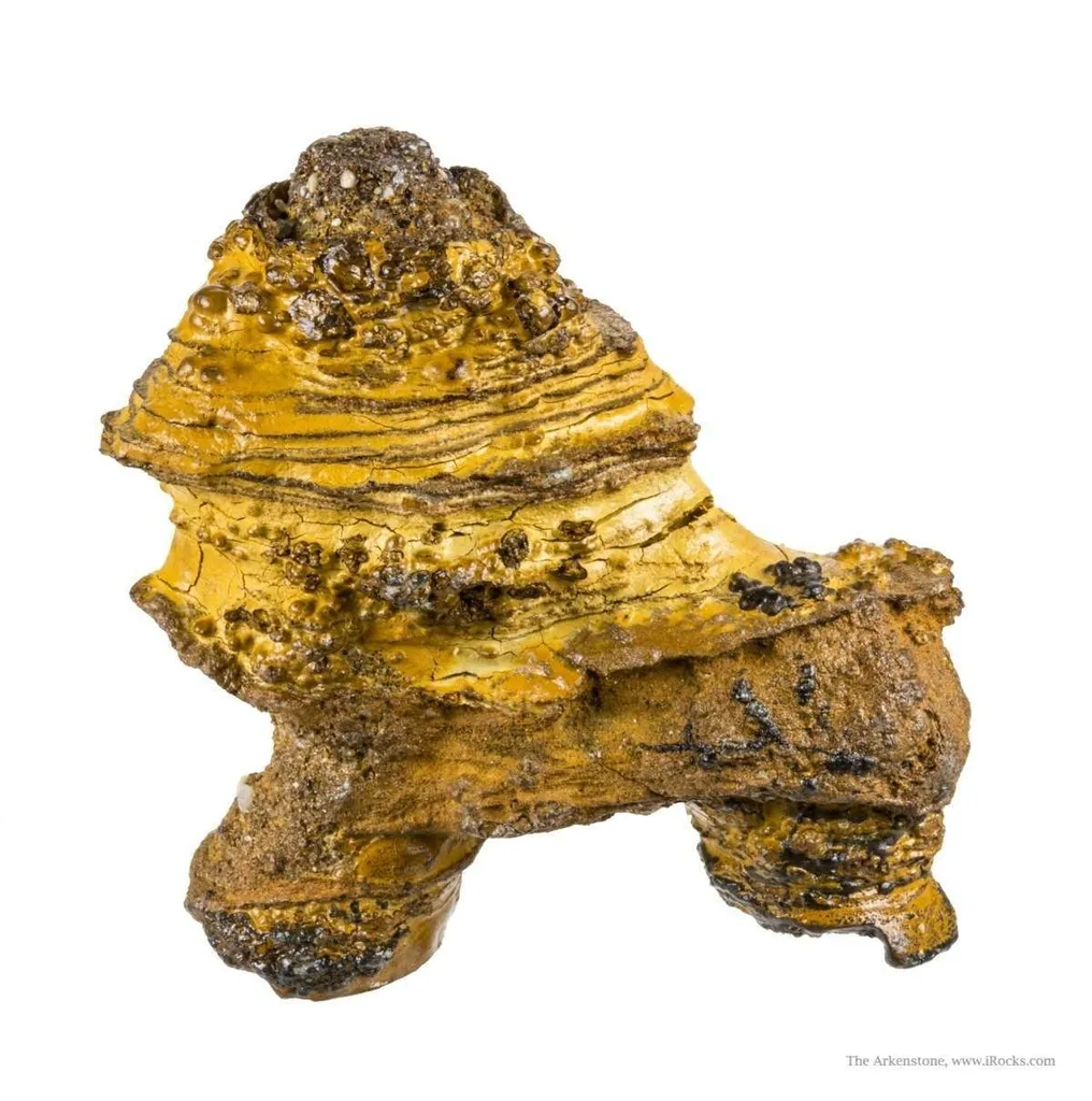 Manganese Biominerals (Todorokite, Romanechite, Birnessite) Ps. After Arthropod Burrows image