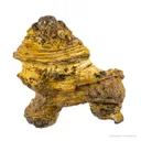Manganese Biominerals (Todorokite, Romanechite, Birnessite) Ps. After Arthropod Burrows - image 1