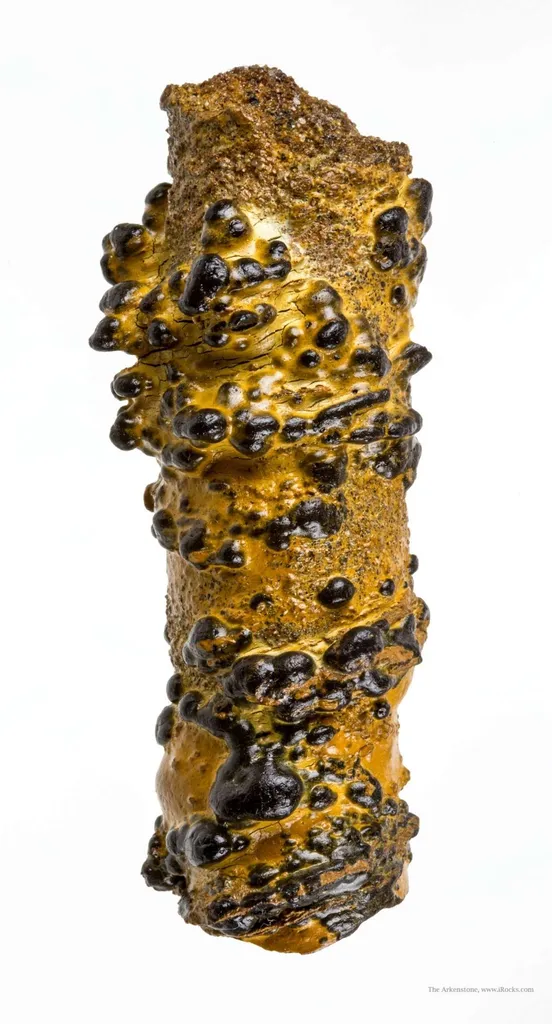 Manganese Biominerals (Todorokite, Romanechite, Birnessite) Ps. After Arthropod Burrows image
