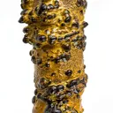 Manganese Biominerals (Todorokite, Romanechite, Birnessite) Ps. After Arthropod Burrows - image 1