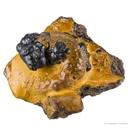 Manganese Biominerals (Todorokite, Romanechite, Birnessite) Ps. After Arthropod Burrows - image 1