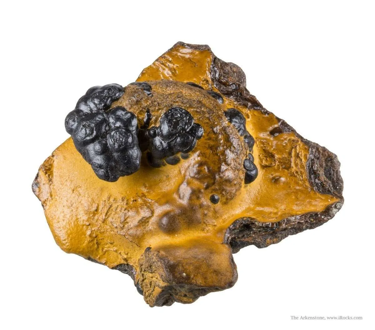 Manganese Biominerals (Todorokite, Romanechite, Birnessite) Ps. After Arthropod Burrows - image 1