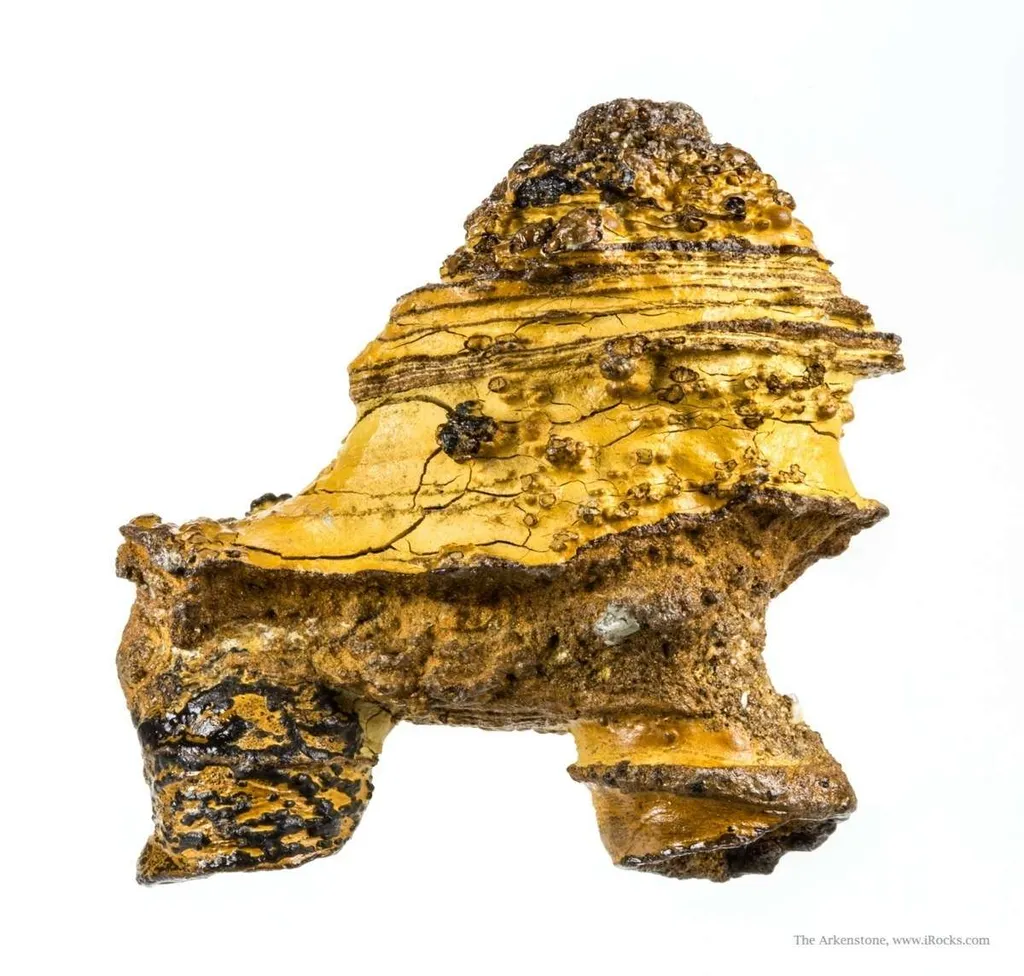 Manganese Biominerals (Todorokite, Romanechite, Birnessite) Ps. After Arthropod Burrows - image 2