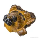 Manganese Biominerals (Todorokite, Romanechite, Birnessite) Ps. After Arthropod Burrows - image 2