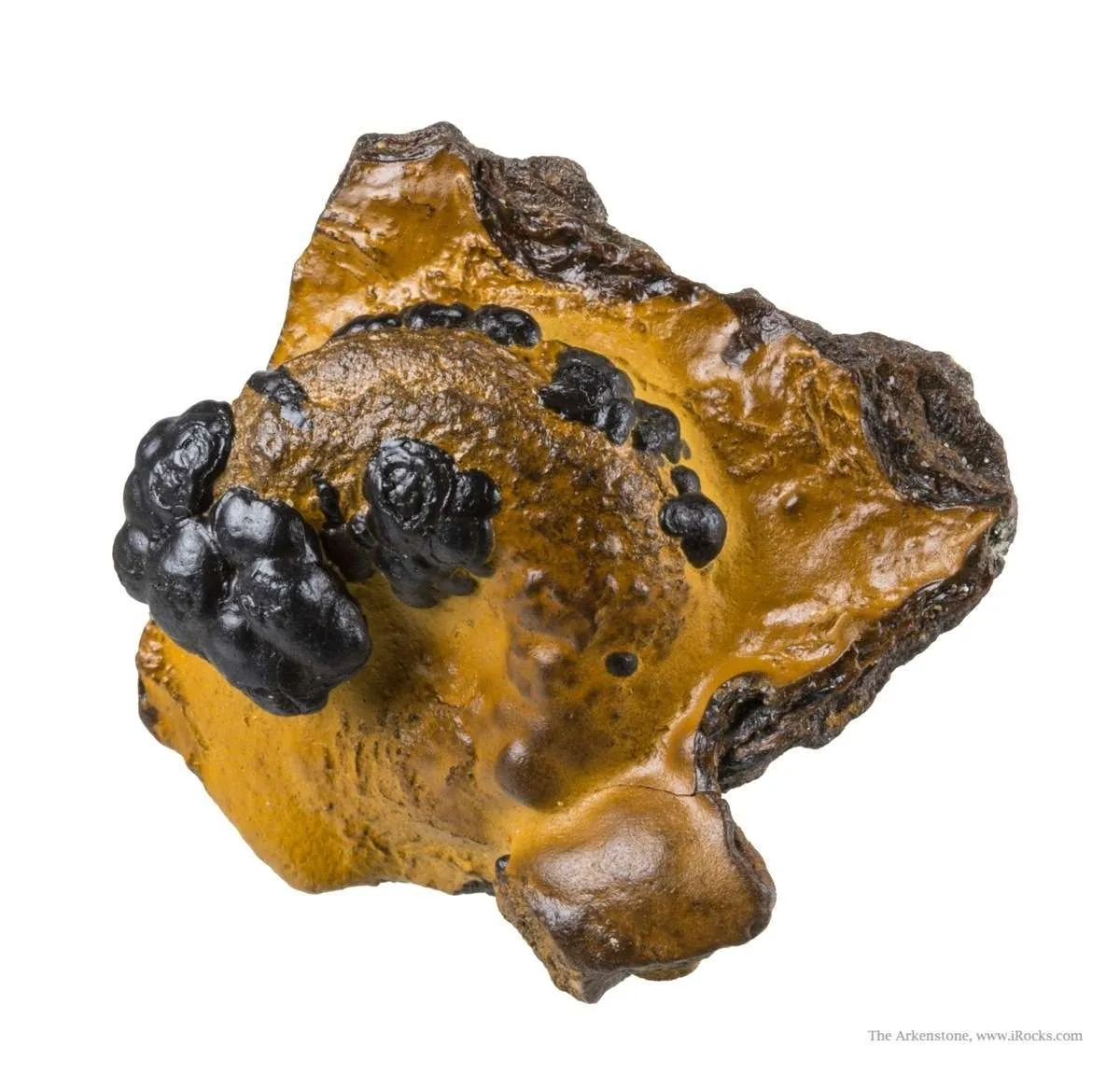 Manganese Biominerals (Todorokite, Romanechite, Birnessite) Ps. After Arthropod Burrows - image 2