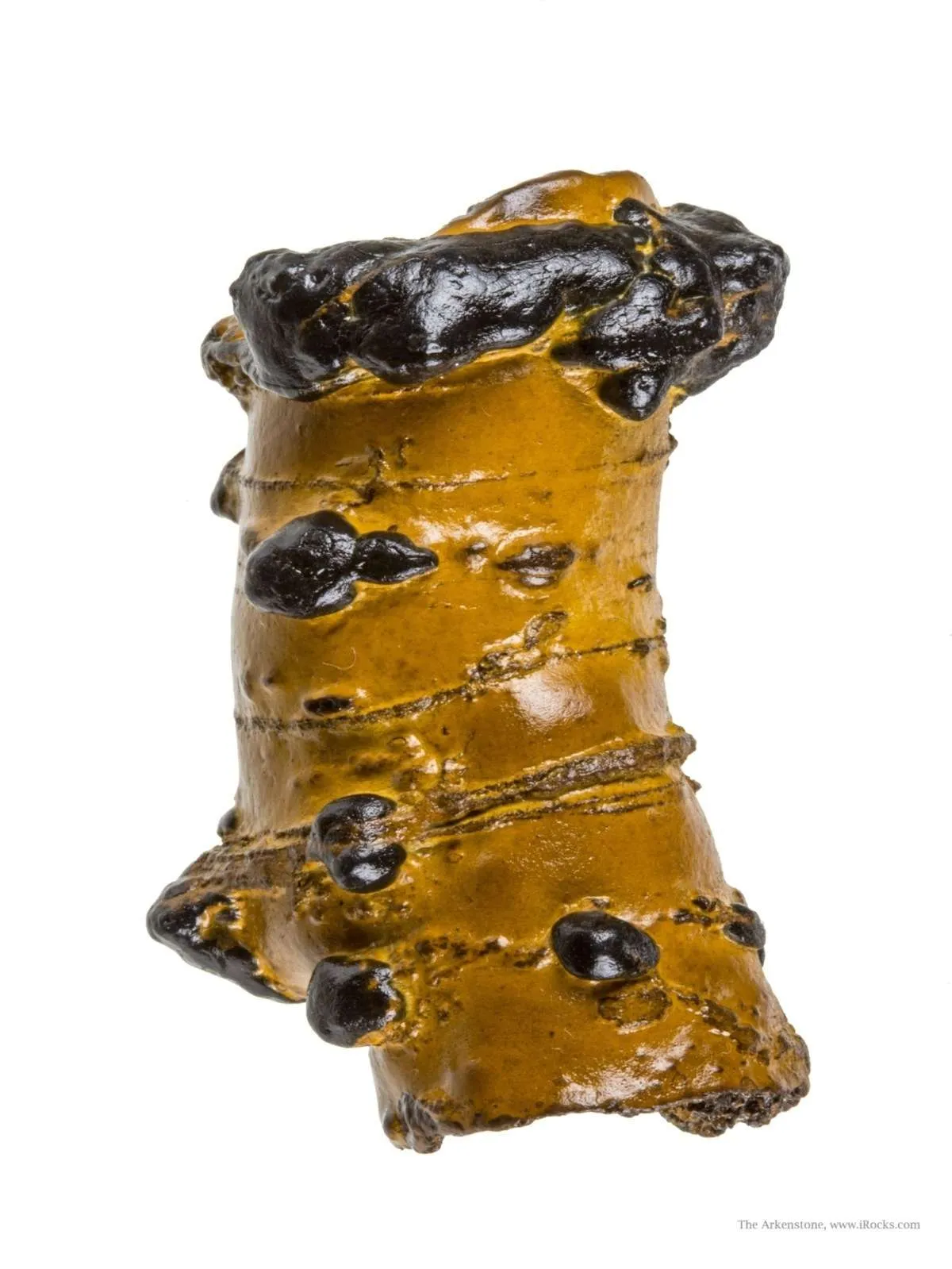 Manganese Biominerals (Todorokite, Romanechite, Birnessite) Ps. After Arthropod Burrows - image 2