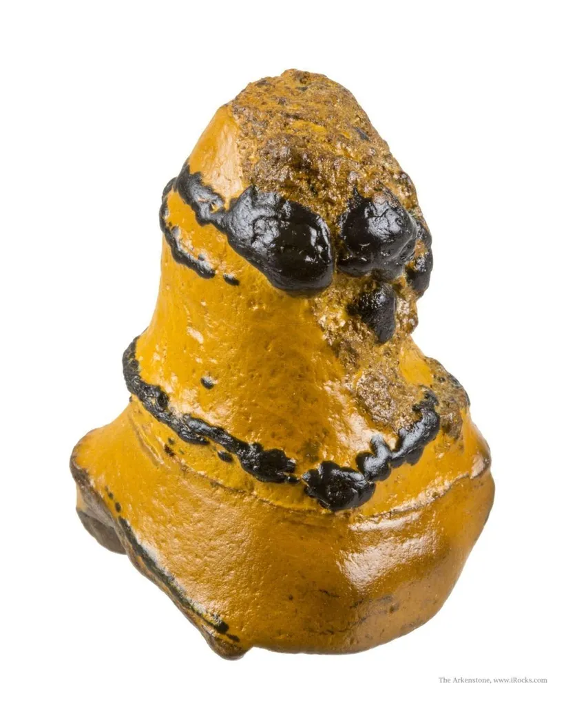 Manganese Biominerals (Todorokite, Romanechite, Birnessite) Ps. After Arthropod Burrows image