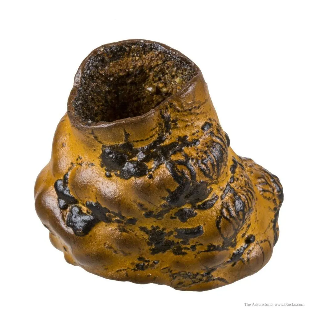 Manganese Biominerals (Todorokite, Romanechite, Birnessite) Ps. After Arthropod Burrows - image 2
