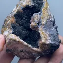 specimen video
