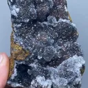 specimen video