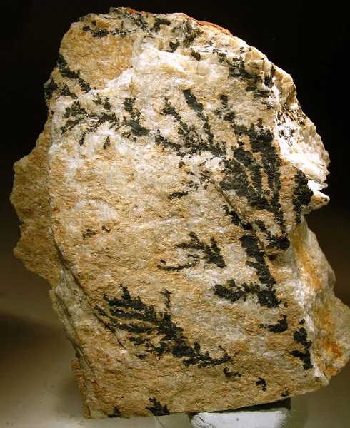 Manganese Oxides image