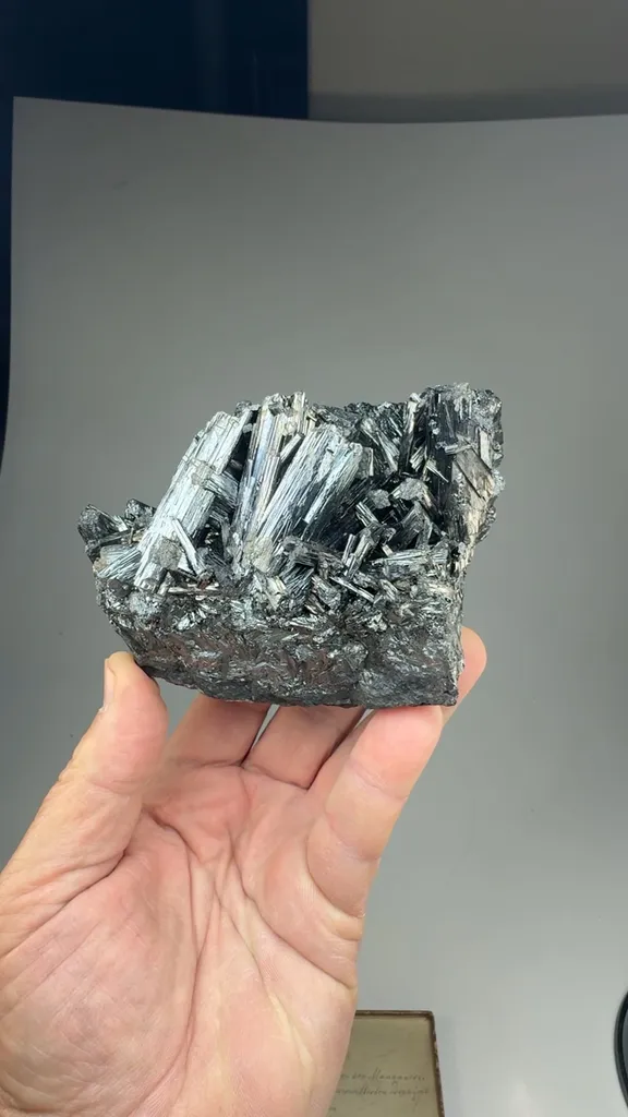 Manganite image