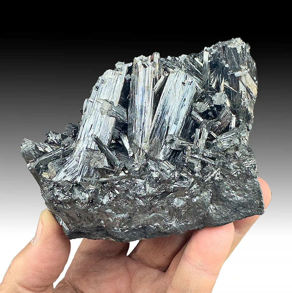 Manganite image