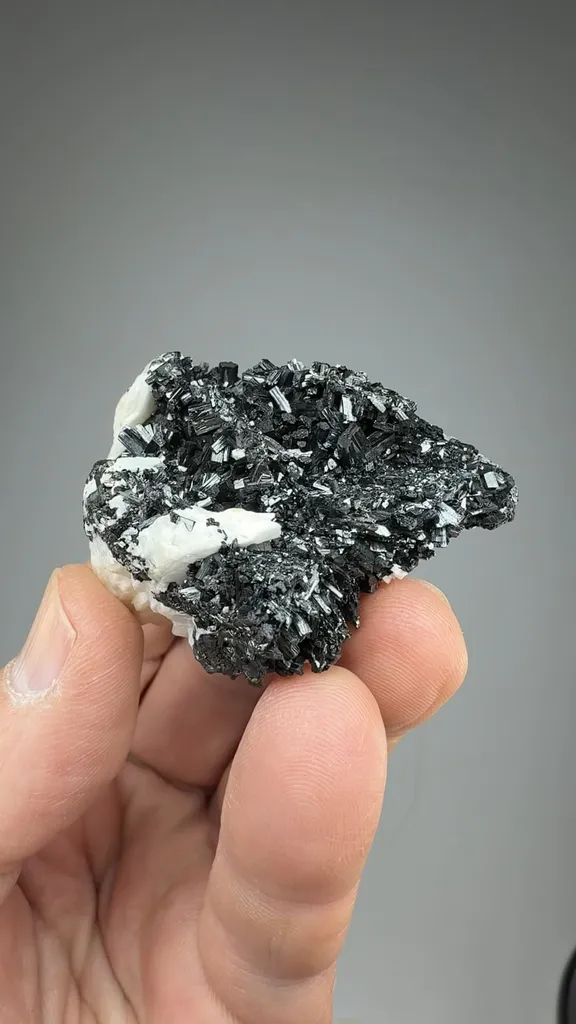 Manganite image