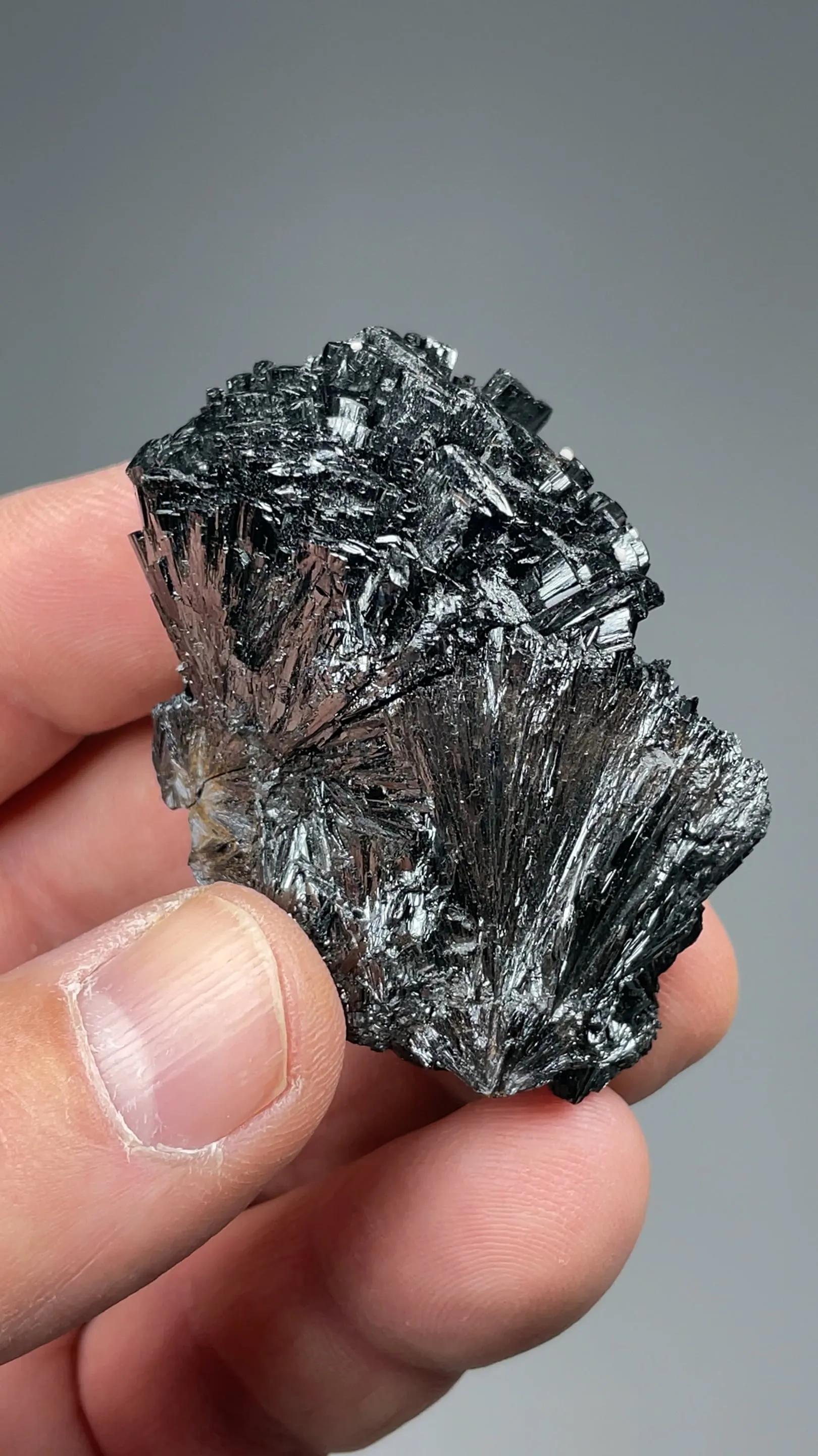 Manganite - image 2